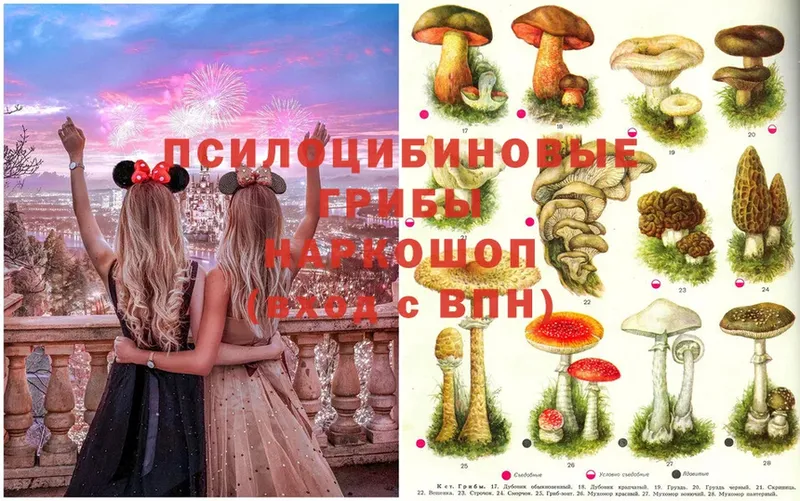 Галлюциногенные грибы MAGIC MUSHROOMS Городец